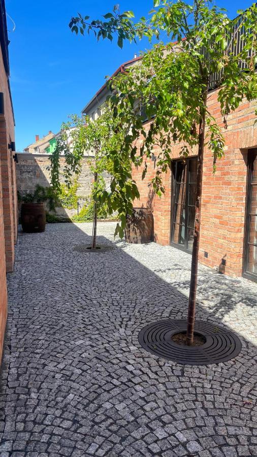Bydlit Cz Apartment Бърно Екстериор снимка